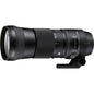 Lente Sigma 150-600mm f/5-6.3 DG OS HSM Contemporary para Nikon F – Teleobjetivo Superzoom de Alto Alcance con Estabilizador Óptico para Cámaras DSLR