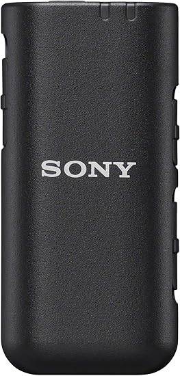 Microfono Sony ECM-W3