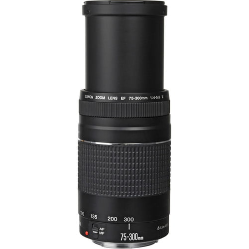 LENTE CANON ZOOM 75-300MM 1:4-5.6 II/ USADO