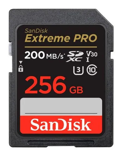 Memoria externa Pro 256 4K Micro